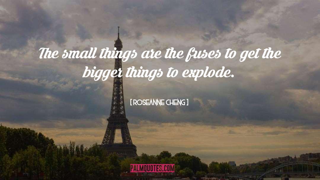 Roseanne Cheng Quotes: The small things are the