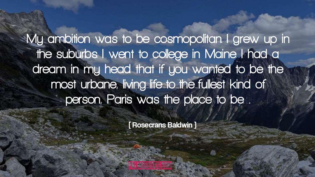 Rosecrans Baldwin Quotes: My ambition was to be