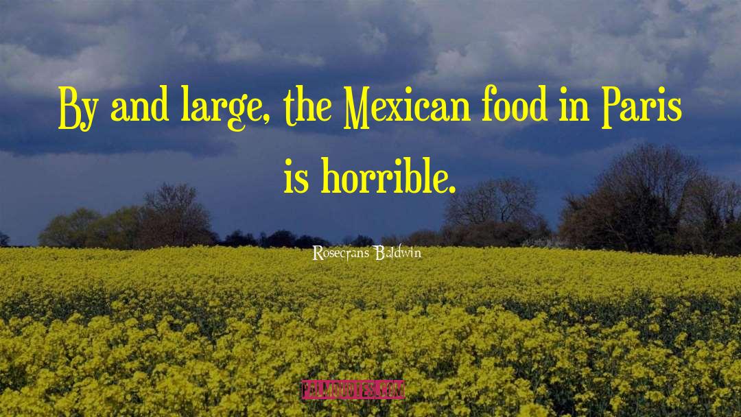 Rosecrans Baldwin Quotes: By and large, the Mexican