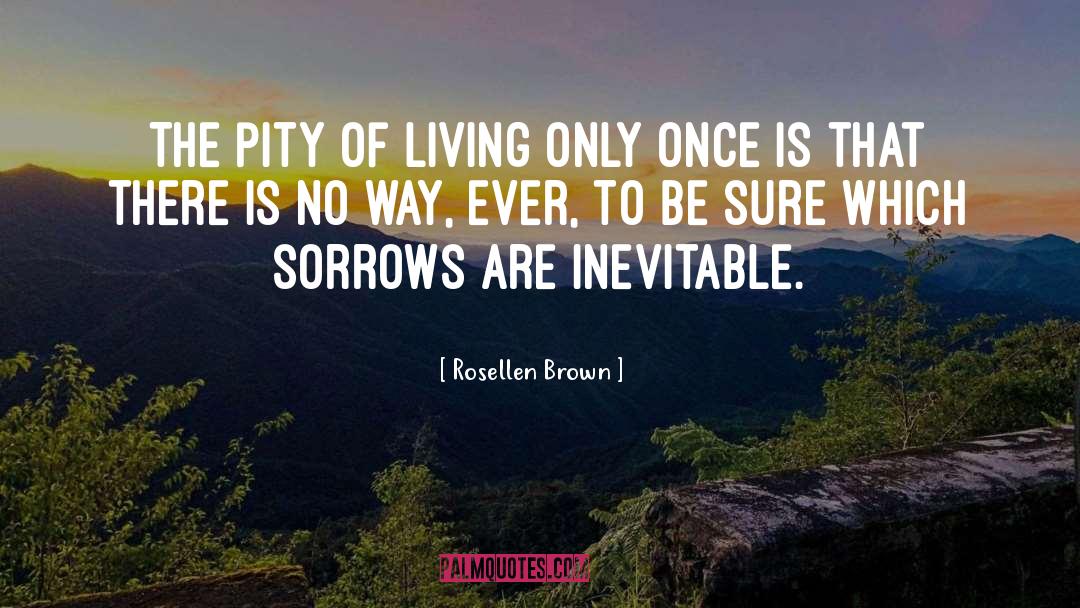 Rosellen Brown Quotes: The pity of living only