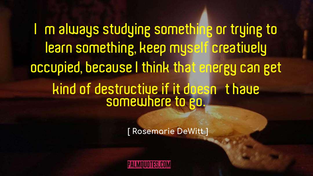 Rosemarie DeWitt Quotes: I'm always studying something or