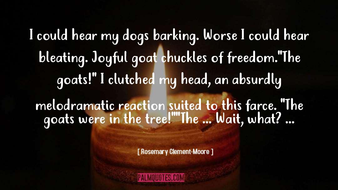 Rosemary Clement-Moore Quotes: I could hear my dogs