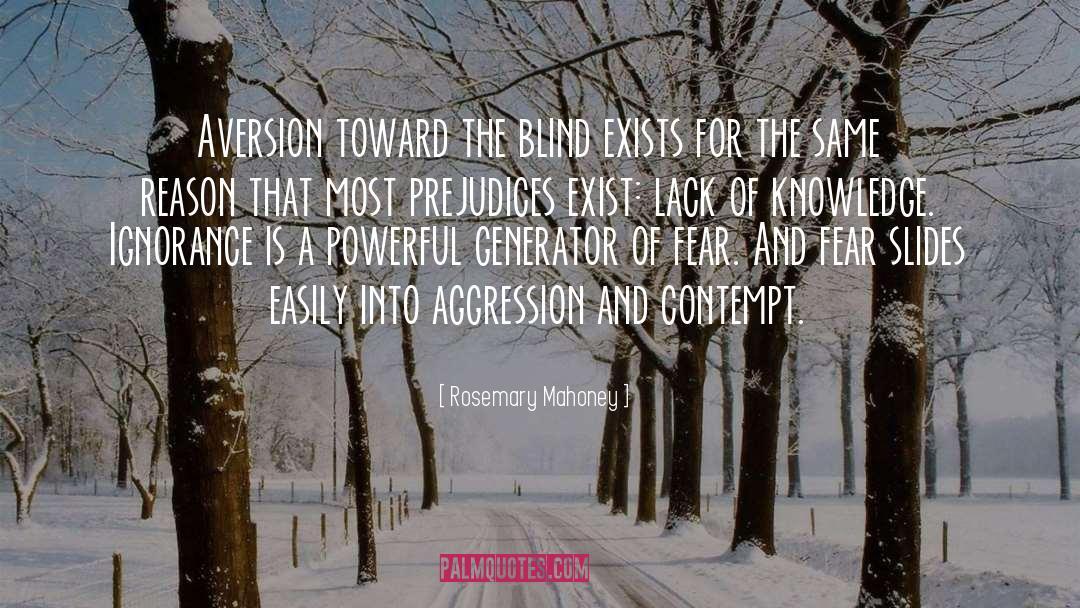 Rosemary Mahoney Quotes: Aversion toward the blind exists