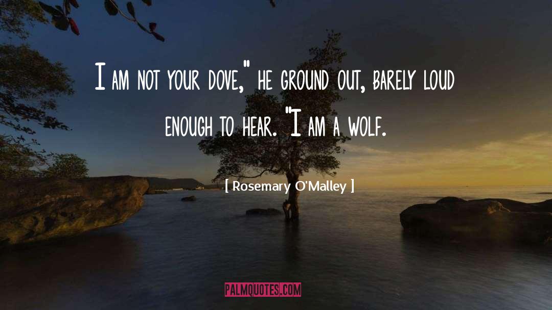 Rosemary O'Malley Quotes: I am not your dove,