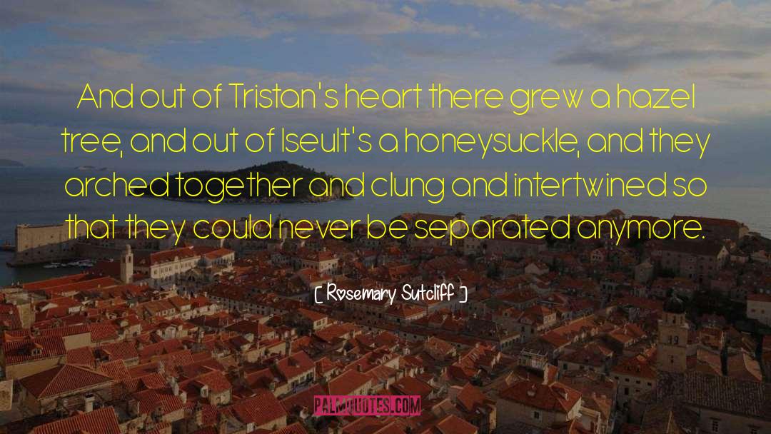 Rosemary Sutcliff Quotes: And out of Tristan's heart