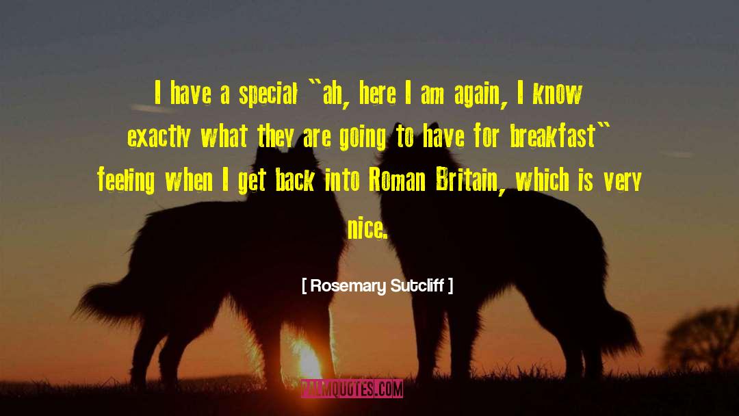 Rosemary Sutcliff Quotes: I have a special 