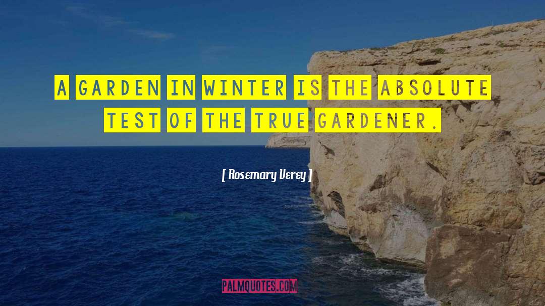 Rosemary Verey Quotes: A garden in winter is