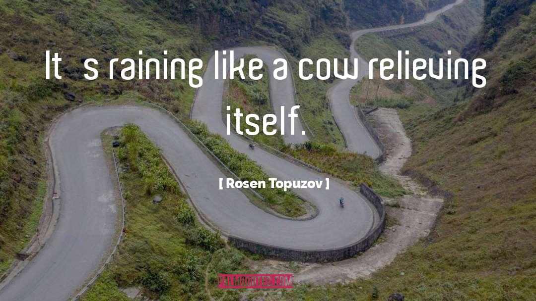 Rosen Topuzov Quotes: It's raining like a cow