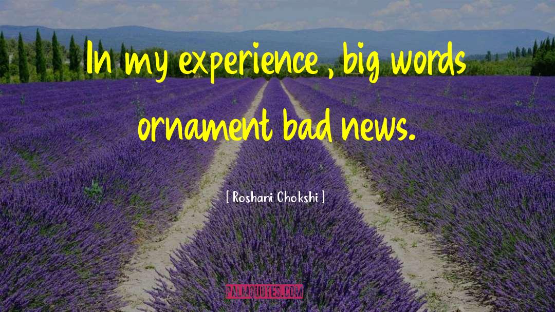 Roshani Chokshi Quotes: In my experience , big