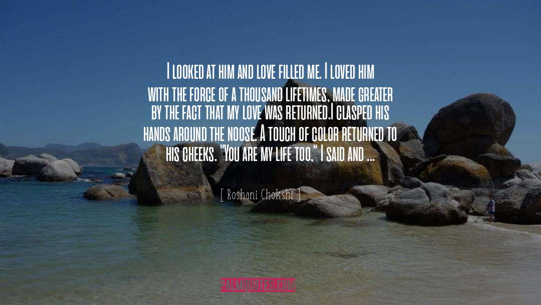 Roshani Chokshi Quotes: I looked at him and