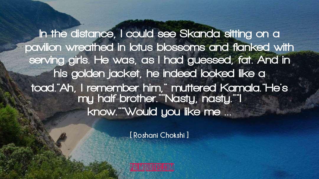 Roshani Chokshi Quotes: In the distance, I could