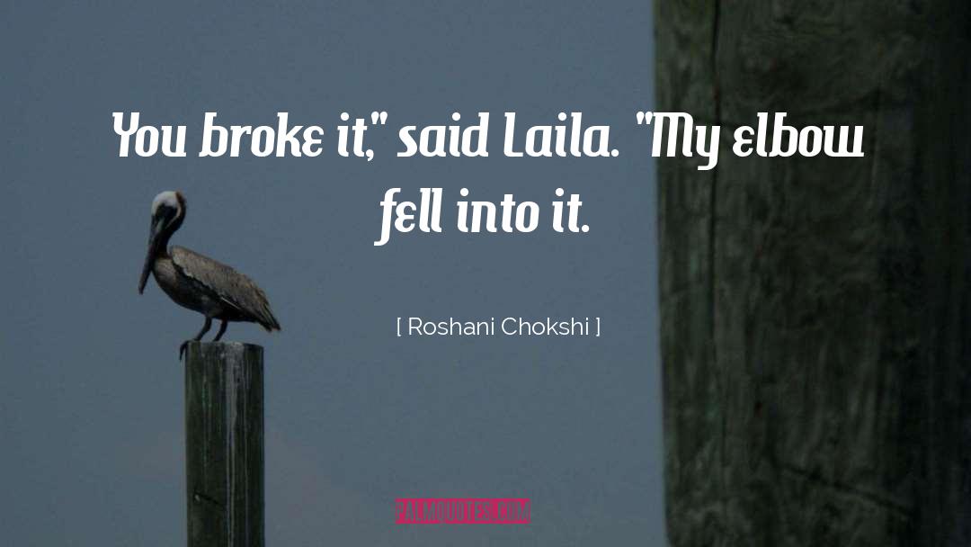 Roshani Chokshi Quotes: You broke it,