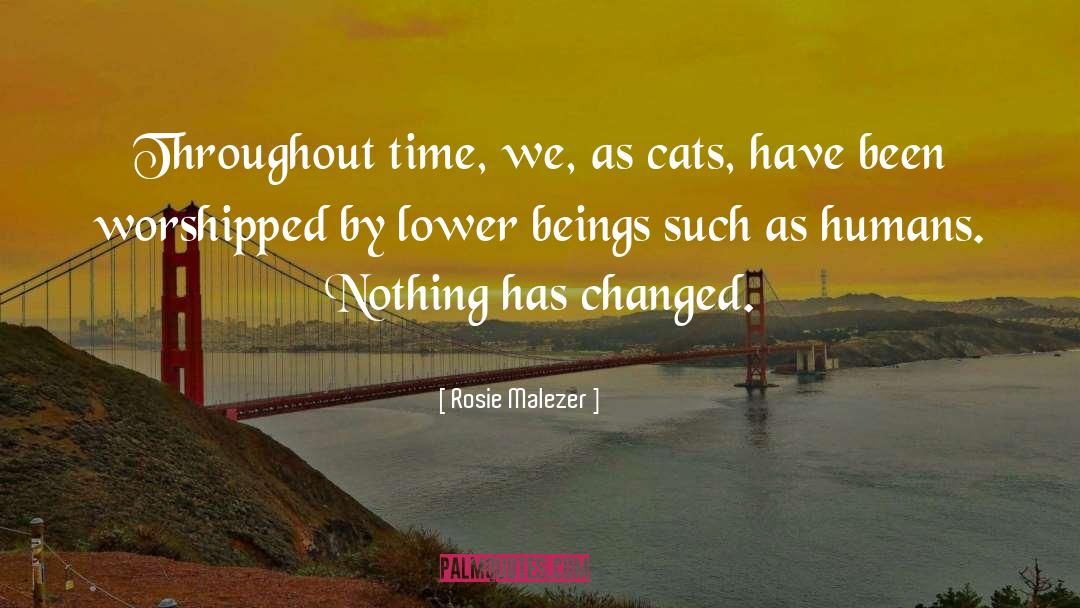 Rosie Malezer Quotes: Throughout time, we, as cats,