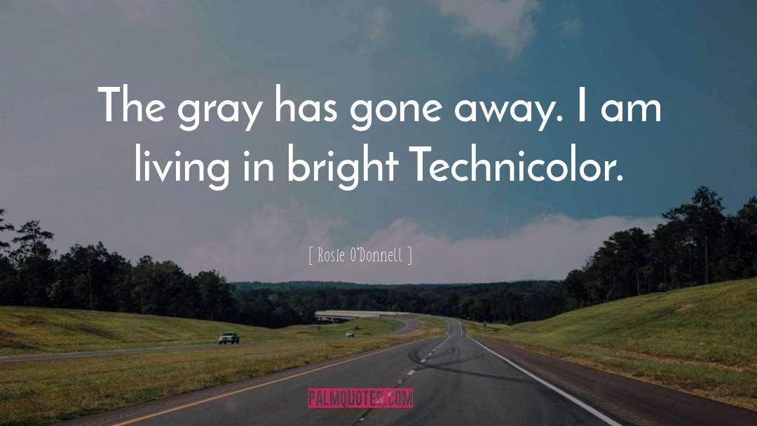 Rosie O'Donnell Quotes: The gray has gone away.