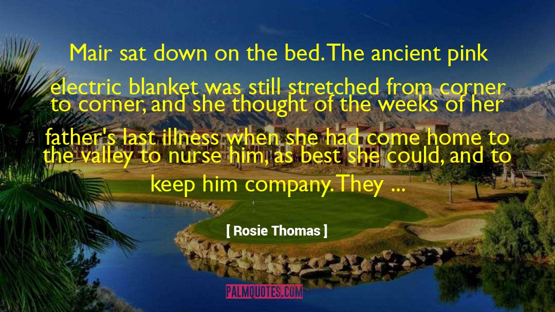 Rosie Thomas Quotes: Mair sat down on the