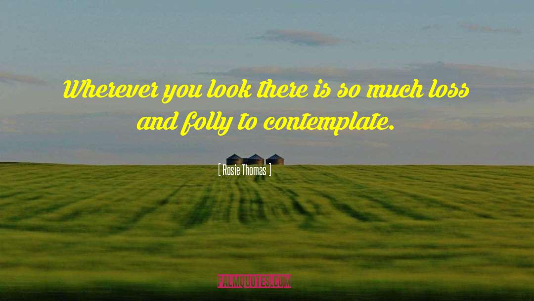 Rosie Thomas Quotes: Wherever you look there is