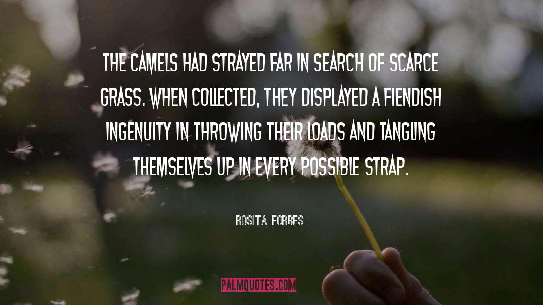Rosita Forbes Quotes: The camels had strayed far
