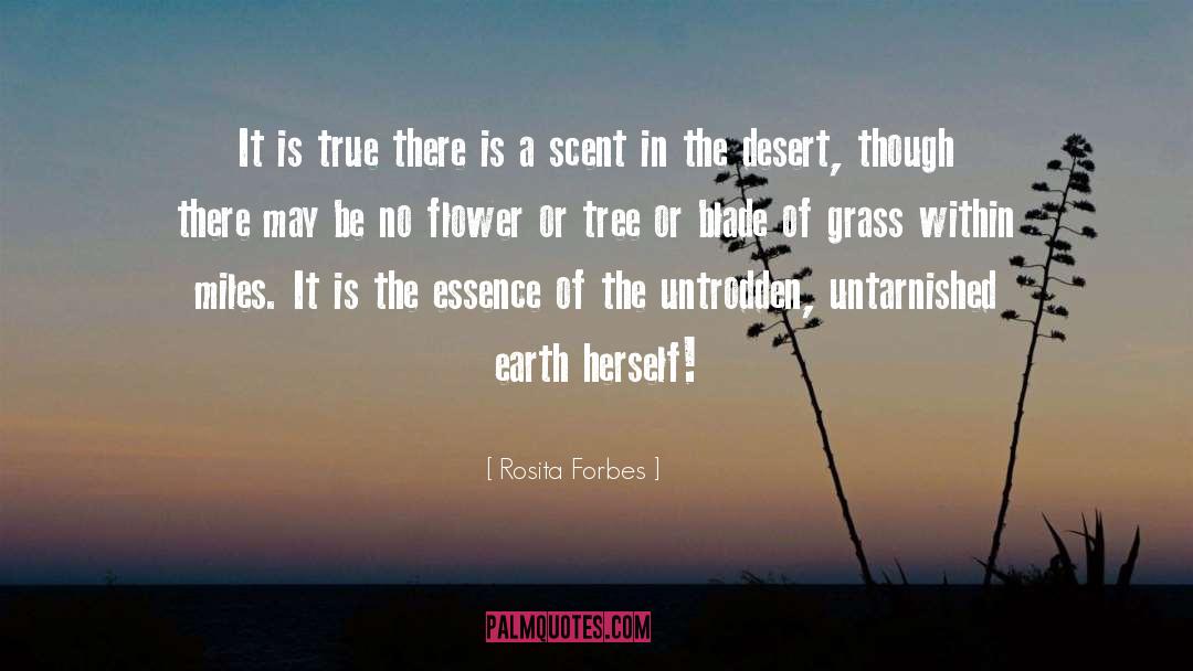 Rosita Forbes Quotes: It is true there is