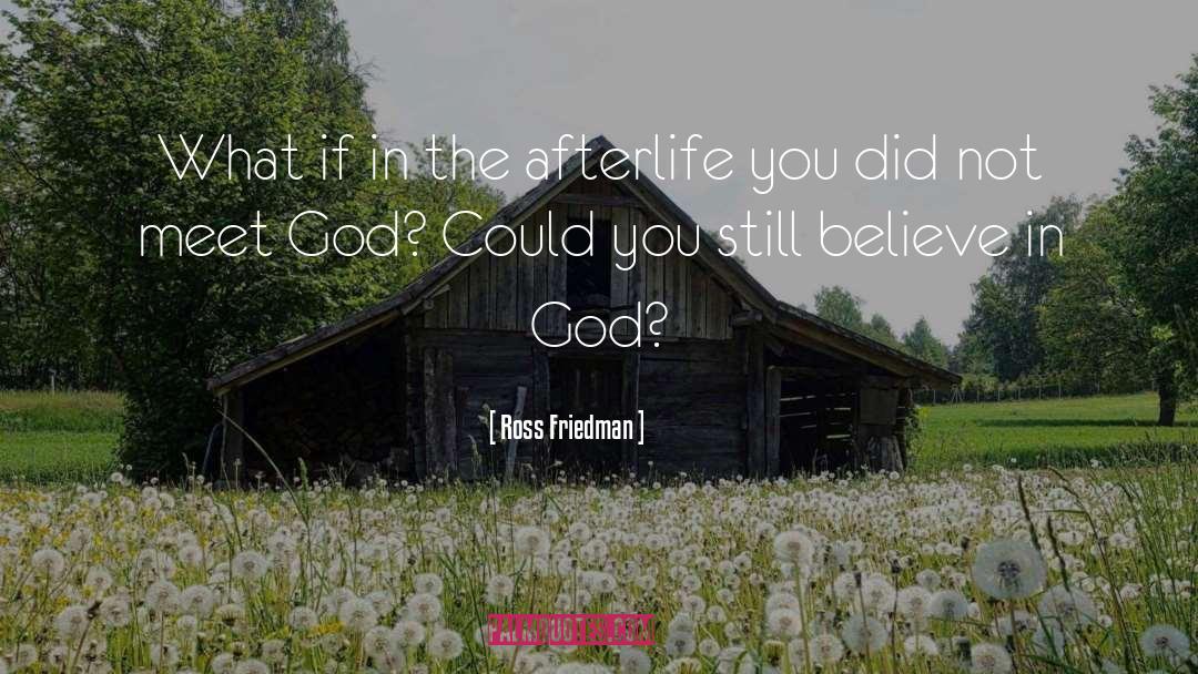 Ross Friedman Quotes: What if in the afterlife
