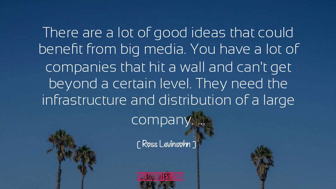 Ross Levinsohn Quotes: There are a lot of