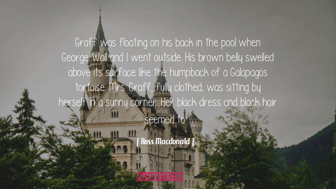 Ross Macdonald Quotes: Graff was floating on his