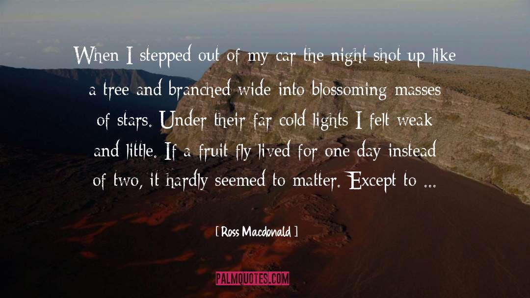 Ross Macdonald Quotes: When I stepped out of