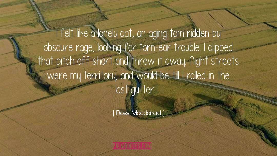 Ross Macdonald Quotes: I felt like a lonely