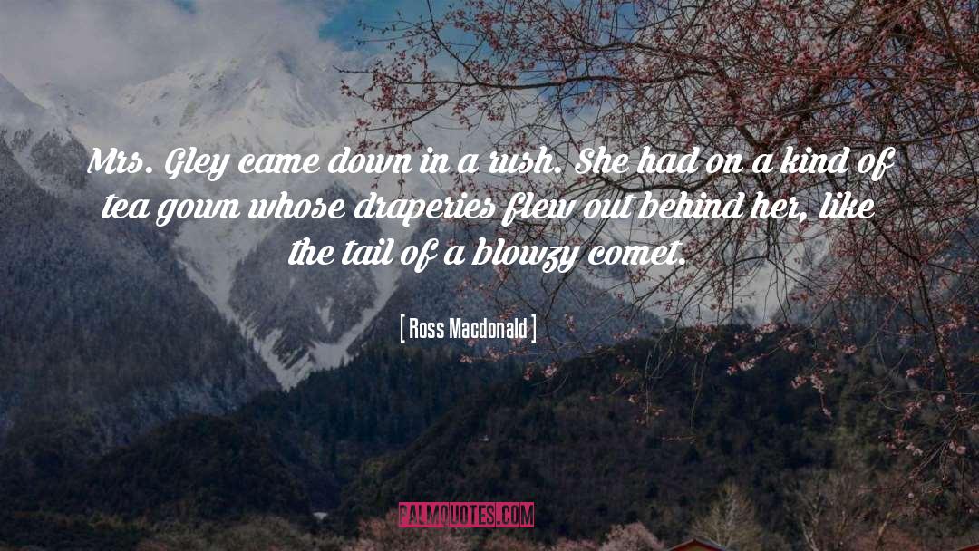Ross Macdonald Quotes: Mrs. Gley came down in
