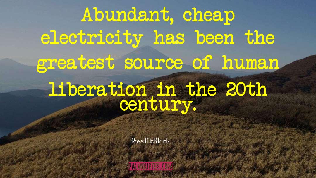 Ross McKitrick Quotes: Abundant, cheap electricity has been
