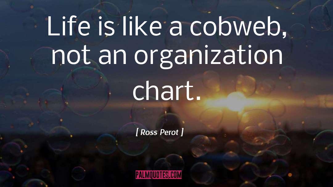 Ross Perot Quotes: Life is like a cobweb,