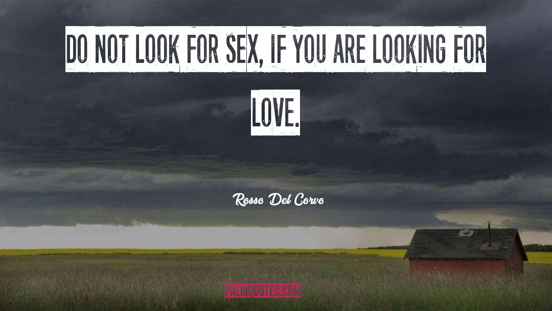 Rosso Del Corvo Quotes: Do not look for sex,