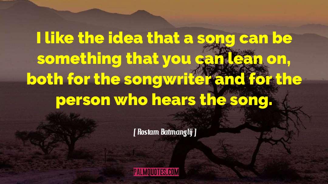 Rostam Batmanglij Quotes: I like the idea that