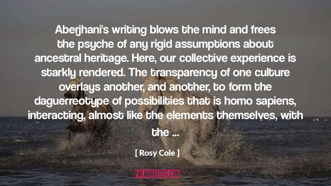Rosy Cole Quotes: Aberjhani's writing blows the mind