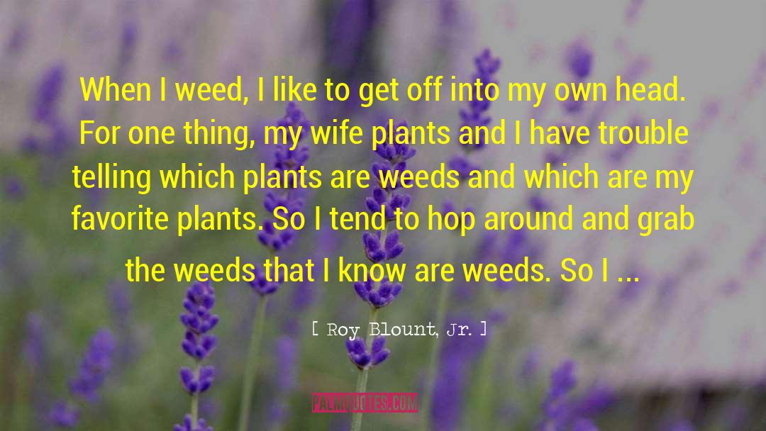 Roy Blount, Jr. Quotes: When I weed, I like