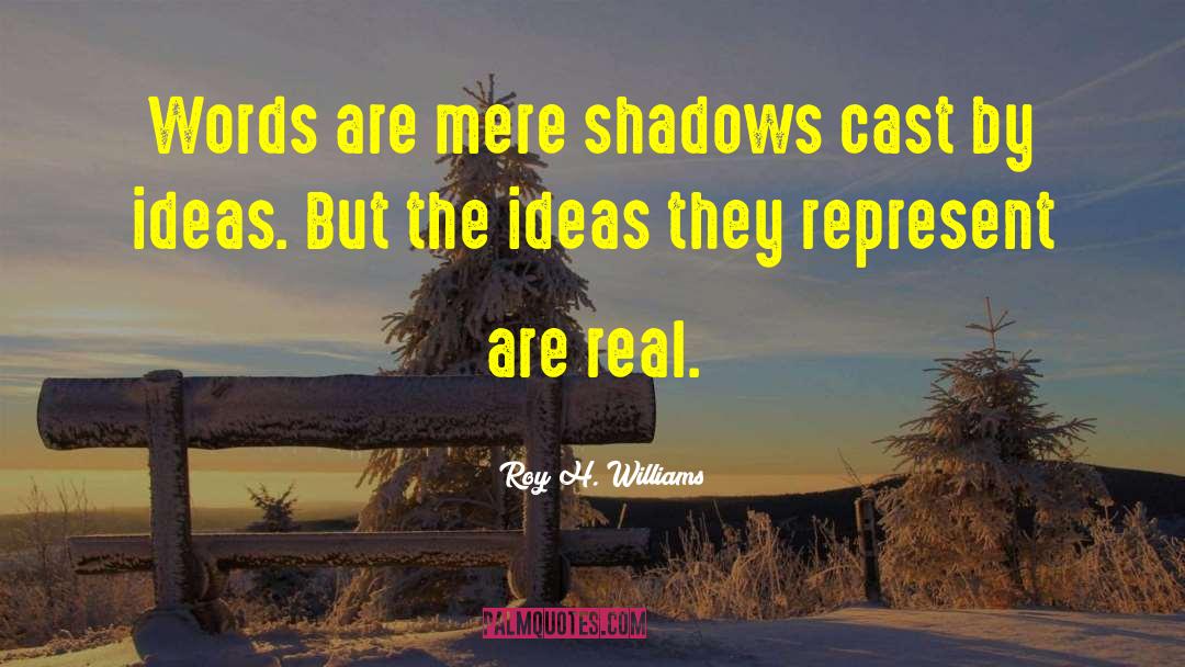 Roy H. Williams Quotes: Words are mere shadows cast