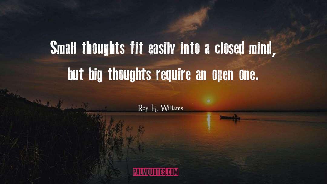 Roy H. Williams Quotes: Small thoughts fit easily into