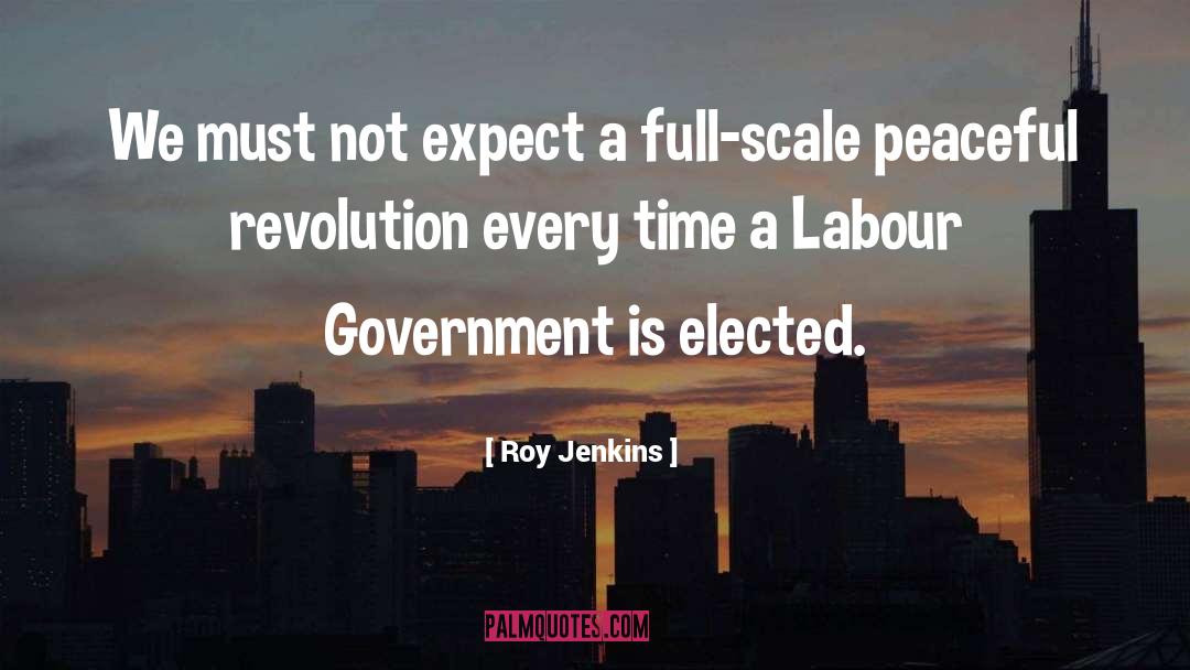 Roy Jenkins Quotes: We must not expect a