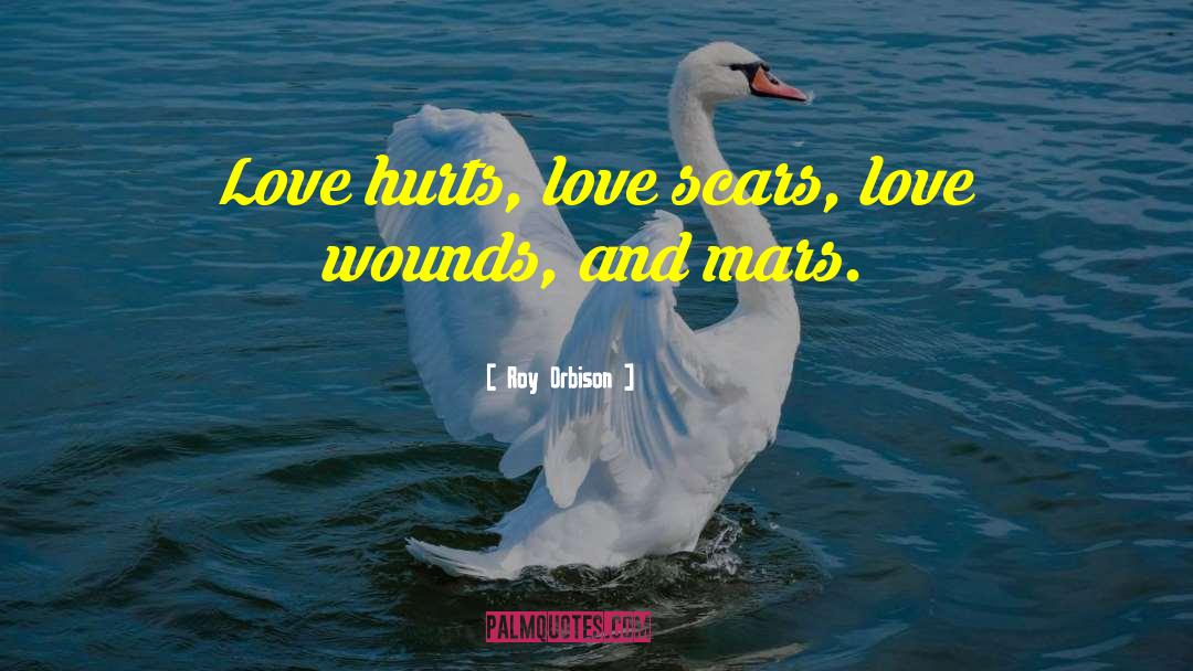 Roy Orbison Quotes: Love hurts, love scars, love