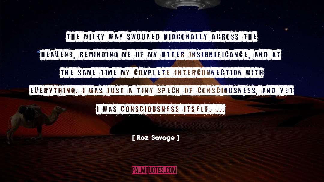 Roz Savage Quotes: The Milky Way swooped diagonally