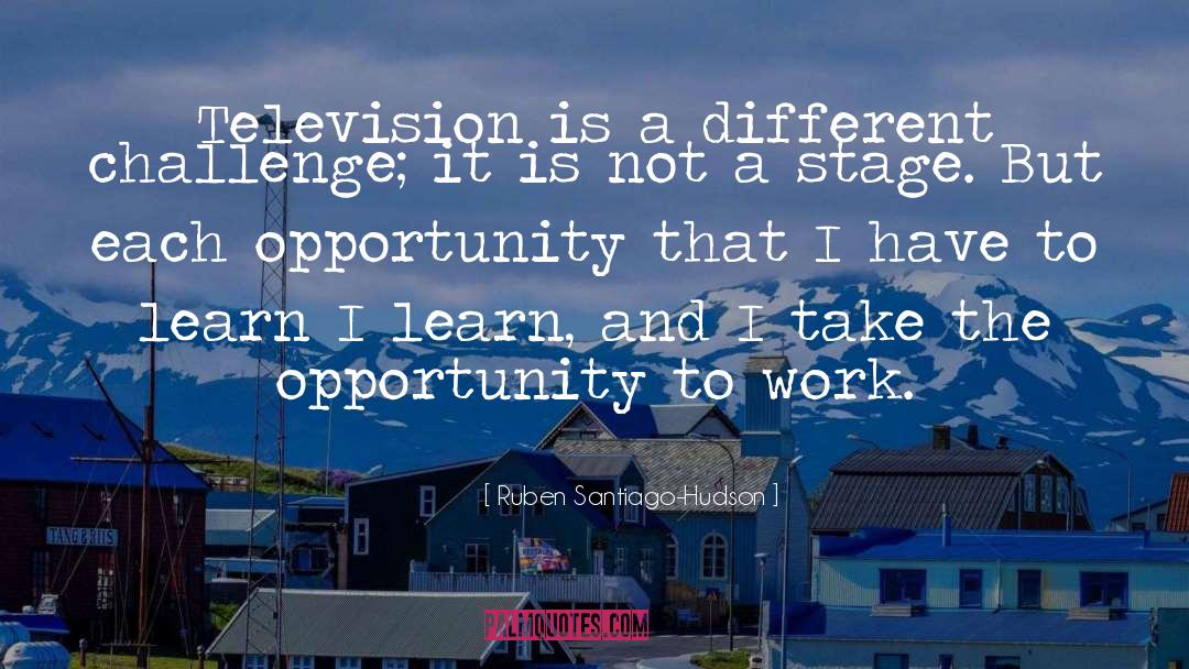 Ruben Santiago-Hudson Quotes: Television is a different challenge;