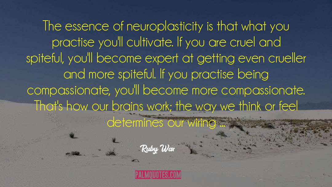 Ruby Wax Quotes: The essence of neuroplasticity is