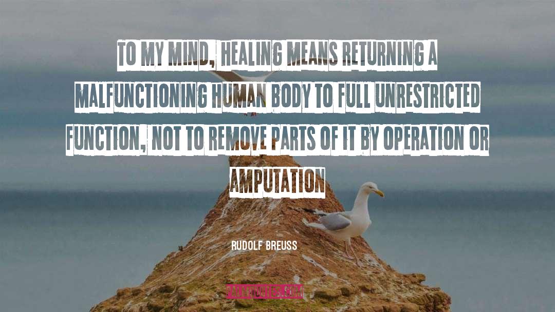 Rudolf Breuss Quotes: To my mind, healing means