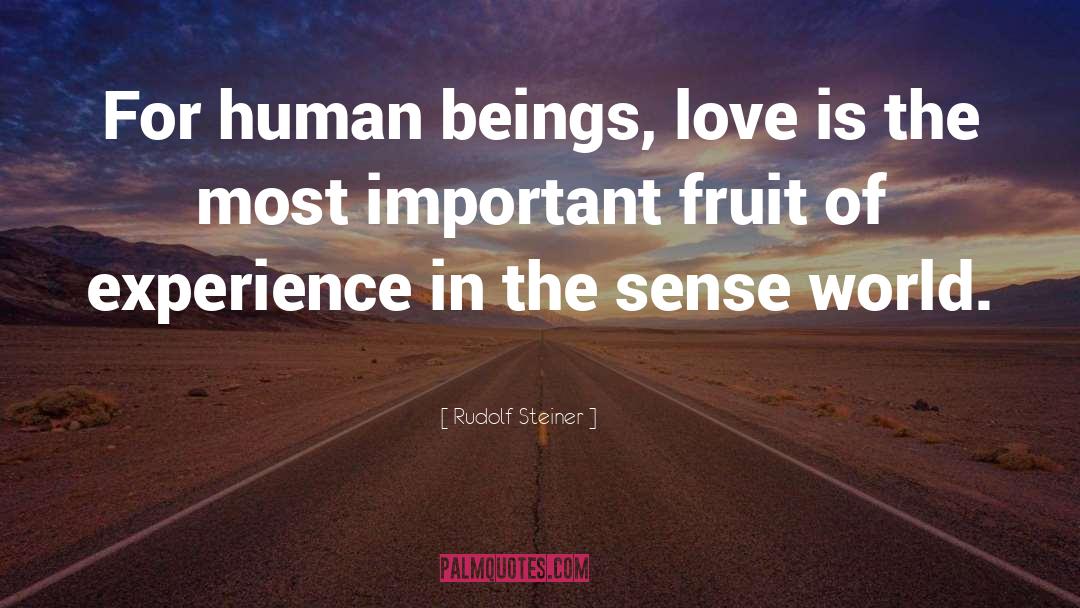 Rudolf Steiner Quotes: For human beings, love is