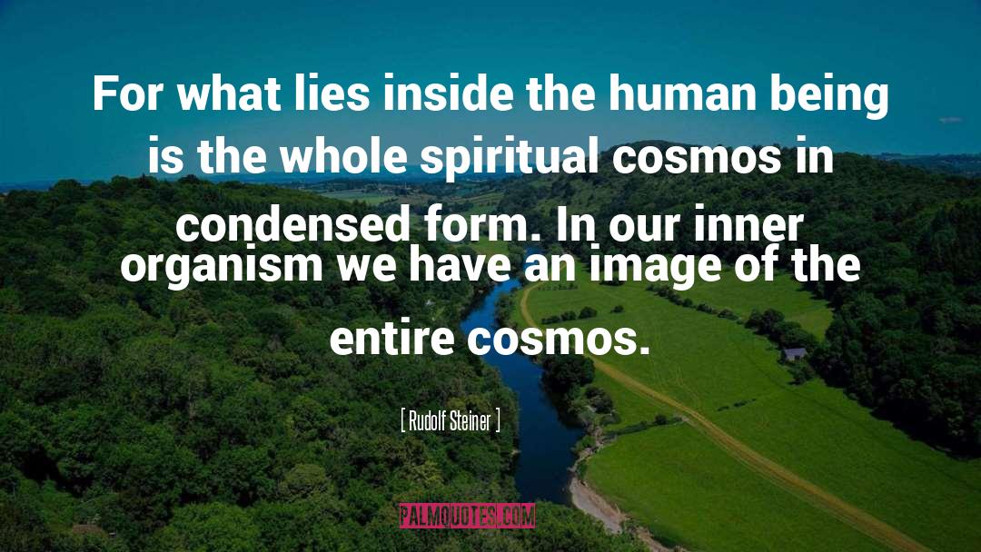 Rudolf Steiner Quotes: For what lies inside the