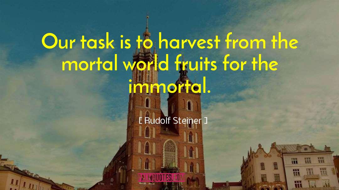 Rudolf Steiner Quotes: Our task is to harvest