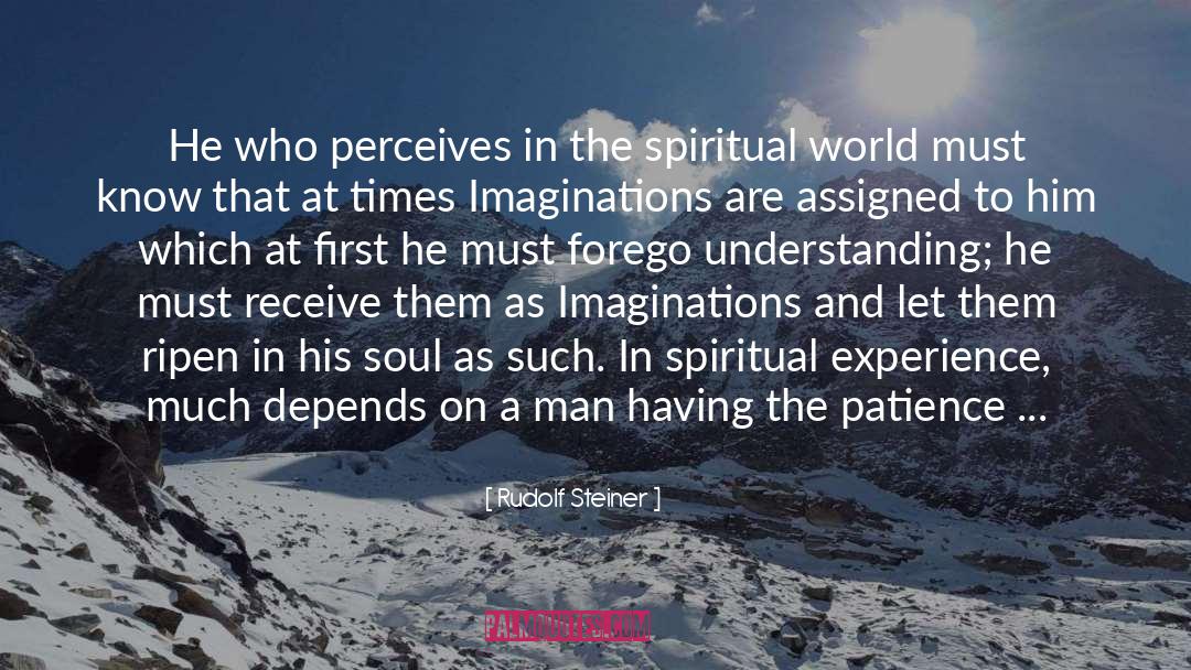 Rudolf Steiner Quotes: He who perceives in the