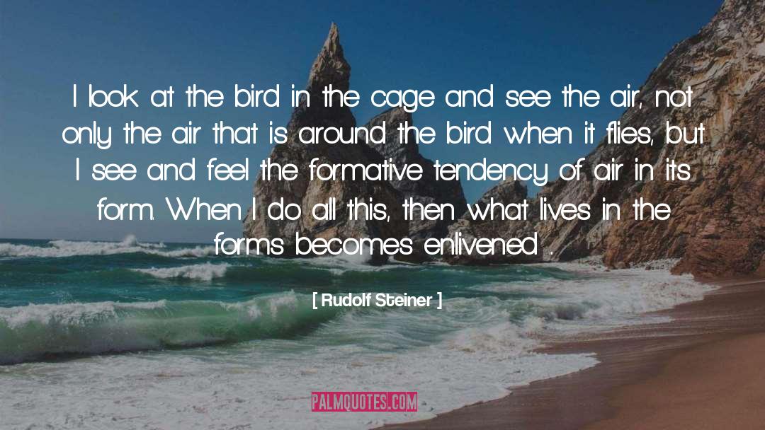 Rudolf Steiner Quotes: I look at the bird
