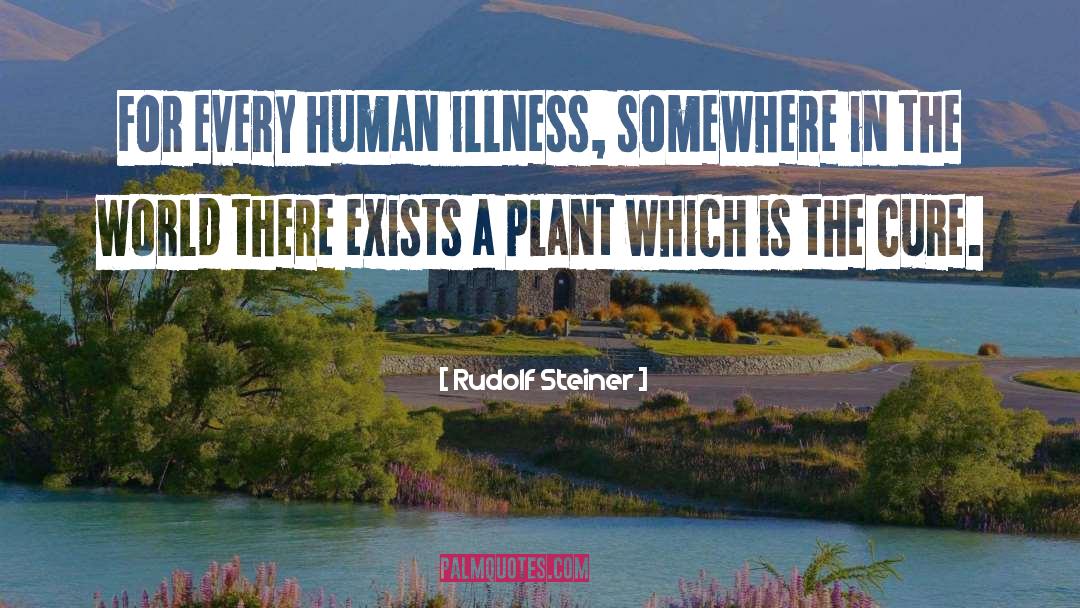 Rudolf Steiner Quotes: For every human illness, somewhere