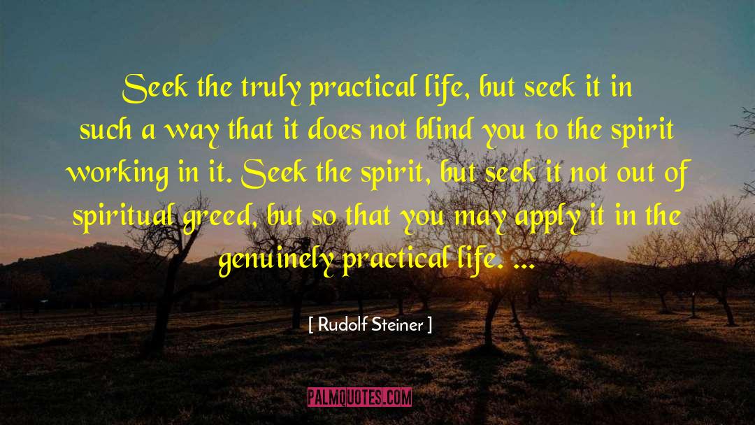 Rudolf Steiner Quotes: Seek the truly practical life,