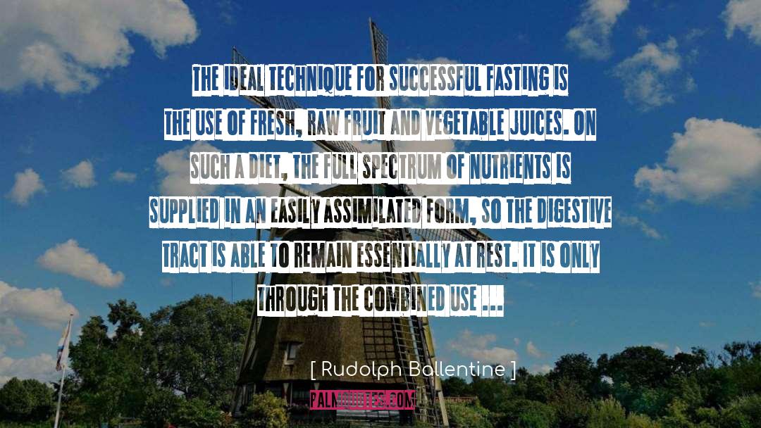 Rudolph Ballentine Quotes: The ideal technique for successful